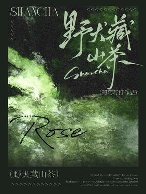 野山茶属于什么档次