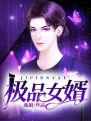 极品女婿
