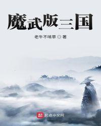 魔武版三国