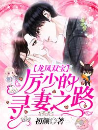 龙凤双宝:厉少的寻妻之路