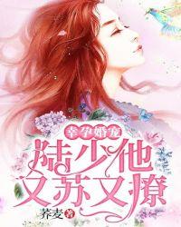 幸孕婚宠:陆少他又苏又撩