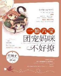一胎六宝:团宠妈咪不好撩