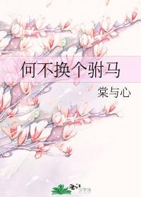 何不换个驸马