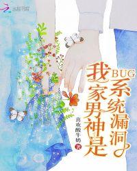 我家男神是系统漏洞