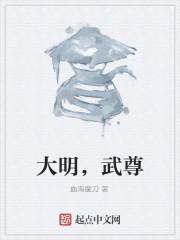 大明,武尊