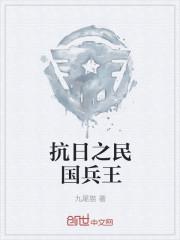 抗日之民国兵王