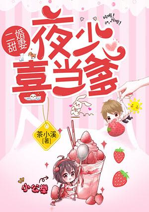 二婚甜妻,夜少喜当爹