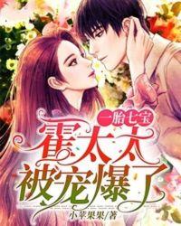一胎七宝:霍太太被宠爆了