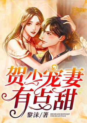贺少宠妻有点甜