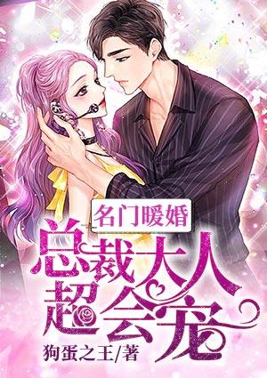 名门暖婚：总裁大人超会宠