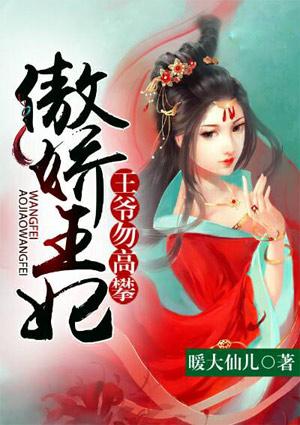 傲娇王妃 :王爷勿高攀