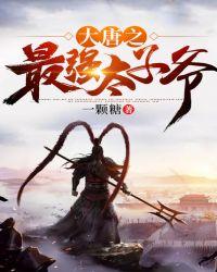 大唐之最强太子爷