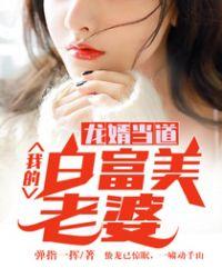 龙婿当道:我的白富美老婆