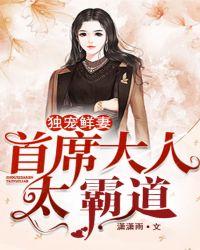 独宠鲜妻:首席大人太霸道