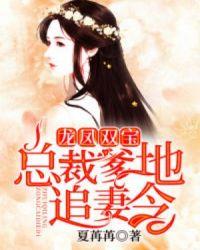 龙凤双宝:总裁爹地追妻令