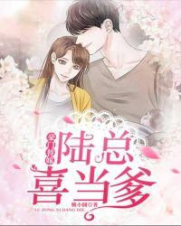 豪门替嫁:陆总喜当爹