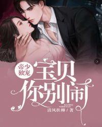 帝少独宠:宝贝,你别闹
