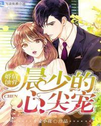 婚情蚀骨:晨少的心尖宠