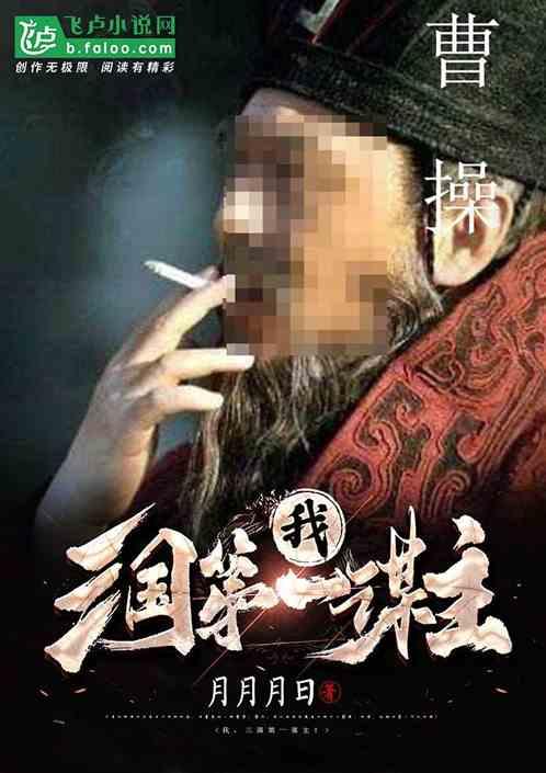 我,三国第一谋主!