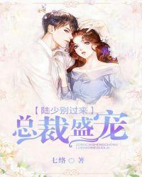 总裁盛宠:陆少别过来