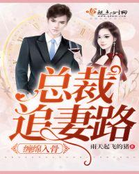 缠绵入骨:总裁追妻路