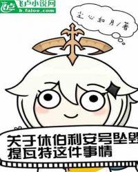 原神:关于休伯利安号坠毁提瓦特这件事情