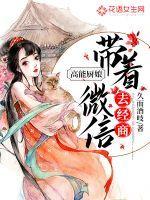 高能厨娘:带着微信去经商