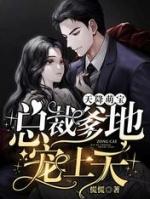 天降萌宝总裁爹地宠上天