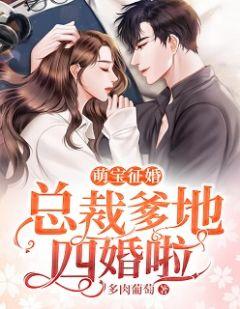 萌宝征婚:总裁爹地四婚啦