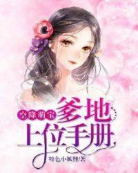 空降萌宝:爹地上位手册