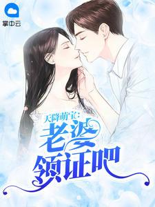 天降萌宝:老婆领证吧苏叶慕承瑾