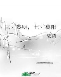 三寸黎明,七寸暮阳