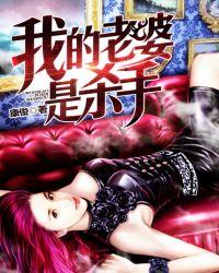 我的老婆是杀手