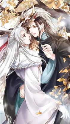 千面圣手小狂妃