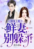 强宠上瘾:鲜妻,别躲了!