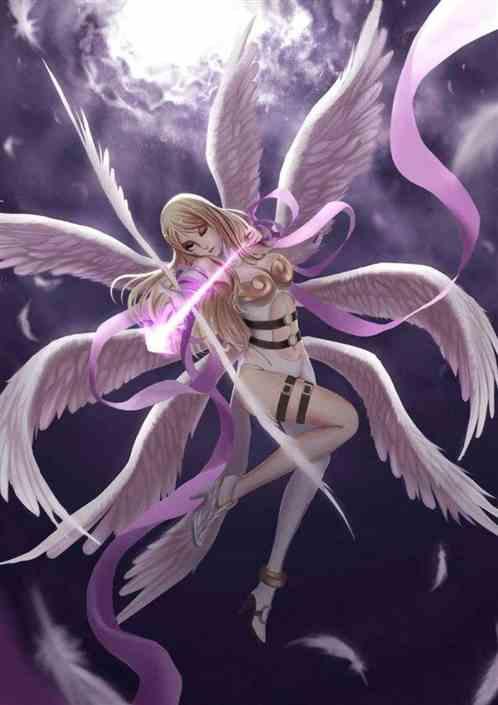 签到八神家,开局一只光明兽