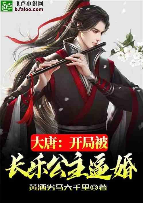 大唐:开局被长乐公主逼婚