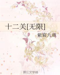 十二关[无限]