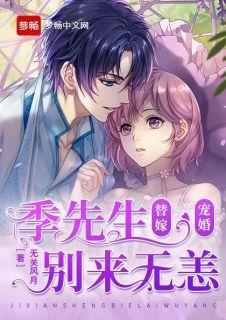 替嫁宠婚:季先生别来无恙