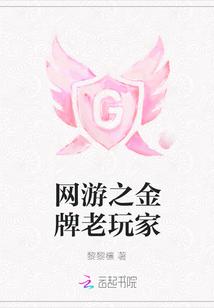 网游之金牌老玩家