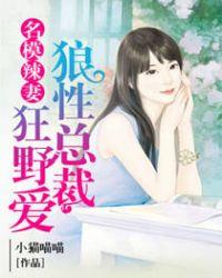 名模辣妻:狼性总裁狂野爱