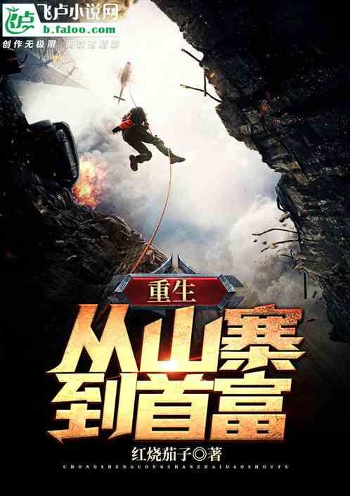 重生:从山寨到大款