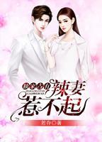 独家占有:辣妻,惹不起