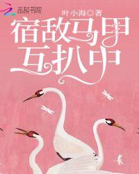 宿敌马甲互扒中