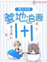 萌宝计划:爹地追妻1+1