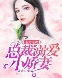 宠妻无度:总裁溺爱小娇妻