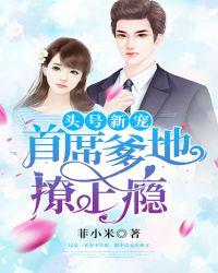 头号新宠:首席爹地撩上瘾