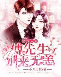 情深入骨:傅先生,别来无恙