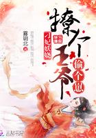 刁妃妖娆:拐个王爷偷个崽