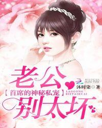 首席的神秘私宠:老公,别太坏